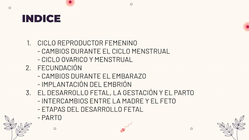 O
TEMA 6: REPRODUCCIÓN
HUMANA Y SEXUALIDAD
Yaiza García García
Xx
O
an
O
Q O
INDICE
O
1. APARATO REPRODUCTOR MASCULINO
- ESTRUCTURA
- PUBERT