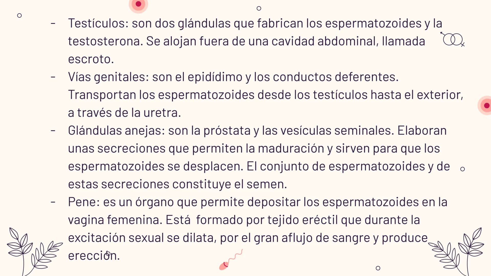 O
TEMA 6: REPRODUCCIÓN
HUMANA Y SEXUALIDAD
Yaiza García García
Xx
O
an
O
Q O
INDICE
O
1. APARATO REPRODUCTOR MASCULINO
- ESTRUCTURA
- PUBERT