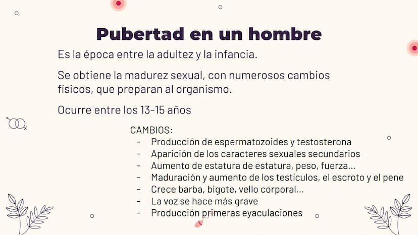 O
TEMA 6: REPRODUCCIÓN
HUMANA Y SEXUALIDAD
Yaiza García García
Xx
O
an
O
Q O
INDICE
O
1. APARATO REPRODUCTOR MASCULINO
- ESTRUCTURA
- PUBERT