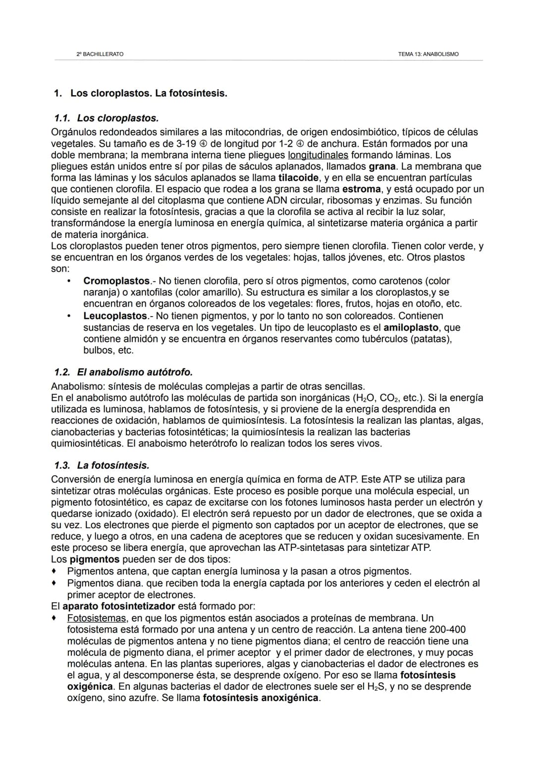 2º BACHILLERATO
TEMA 13: ANABOLISMO
1. Los cloroplastos. La fotosíntesis.
1.1. Los cloroplastos.
Orgánulos redondeados similares a las mitoc
