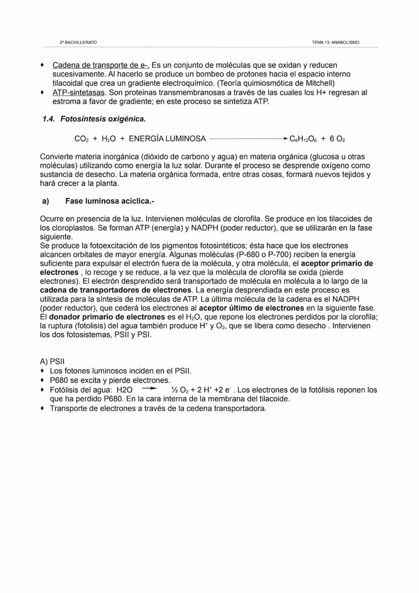 2º BACHILLERATO
TEMA 13: ANABOLISMO
1. Los cloroplastos. La fotosíntesis.
1.1. Los cloroplastos.
Orgánulos redondeados similares a las mitoc