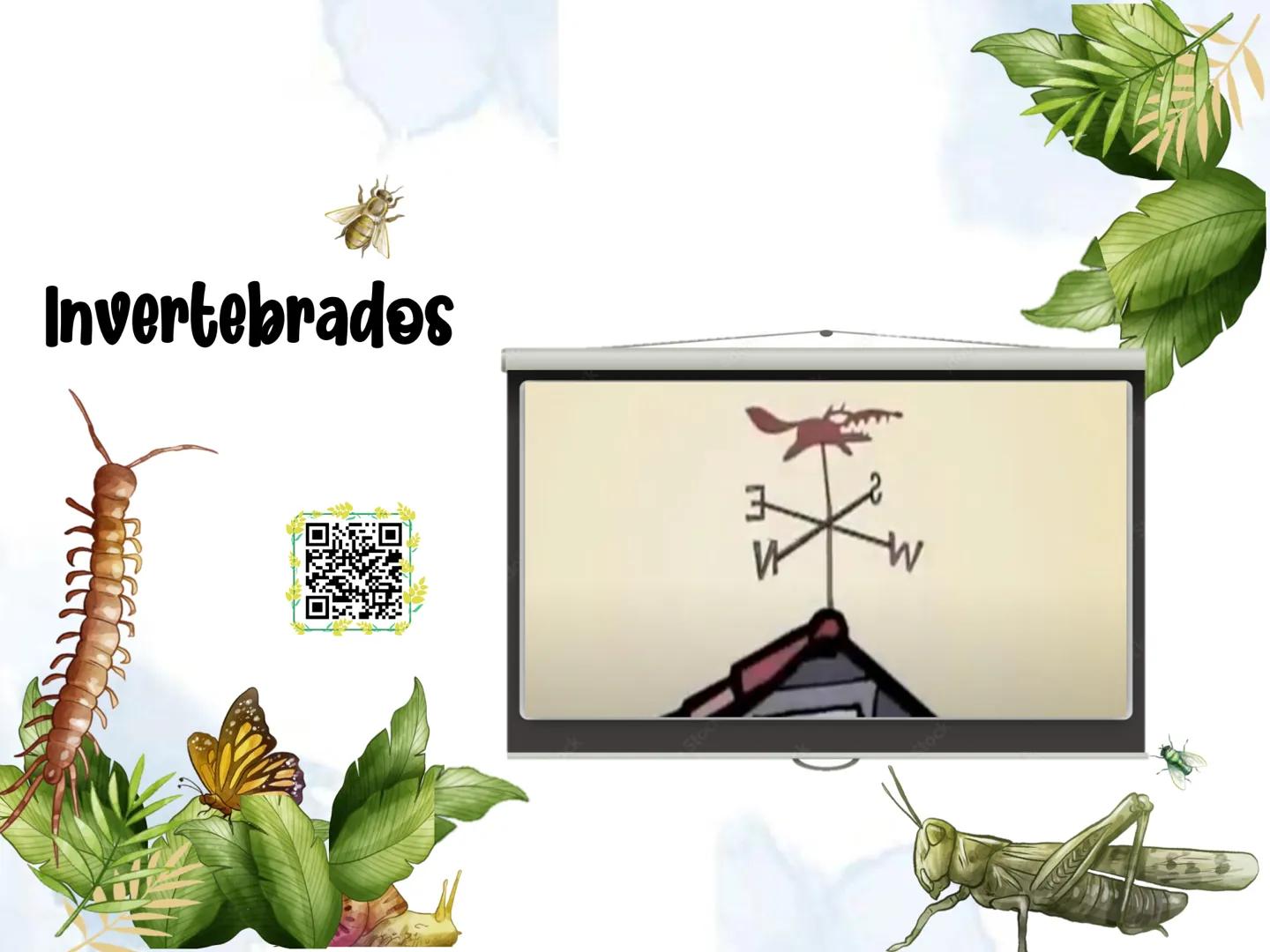 # UD 4: Animales

invertebrados # Invertebrados # 1: Los animales invertebrados

Los invertebrados constituyen el grupo de animales más
nume