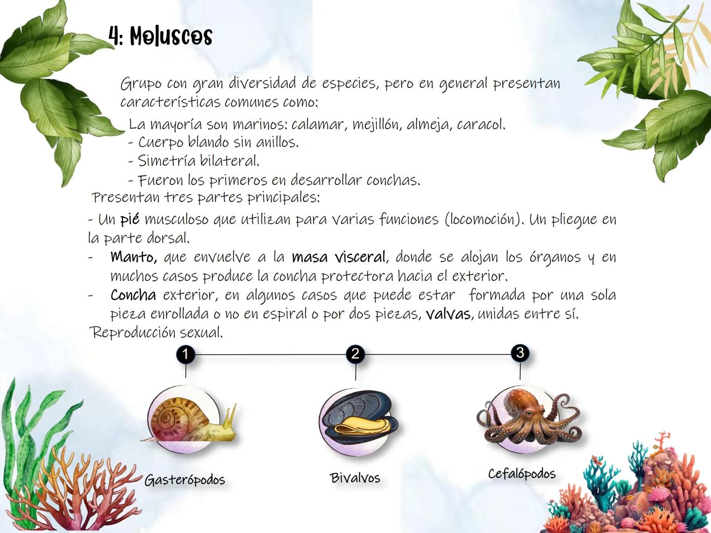 # UD 4: Animales

invertebrados # Invertebrados # 1: Los animales invertebrados

Los invertebrados constituyen el grupo de animales más
nume