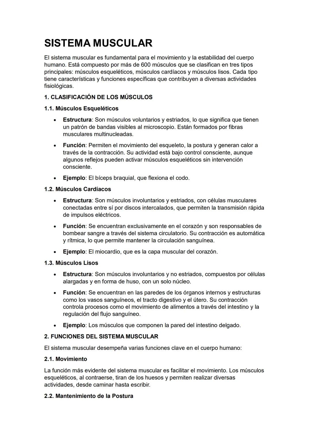 El Sistema Muscular Humano: Funciones y Partes