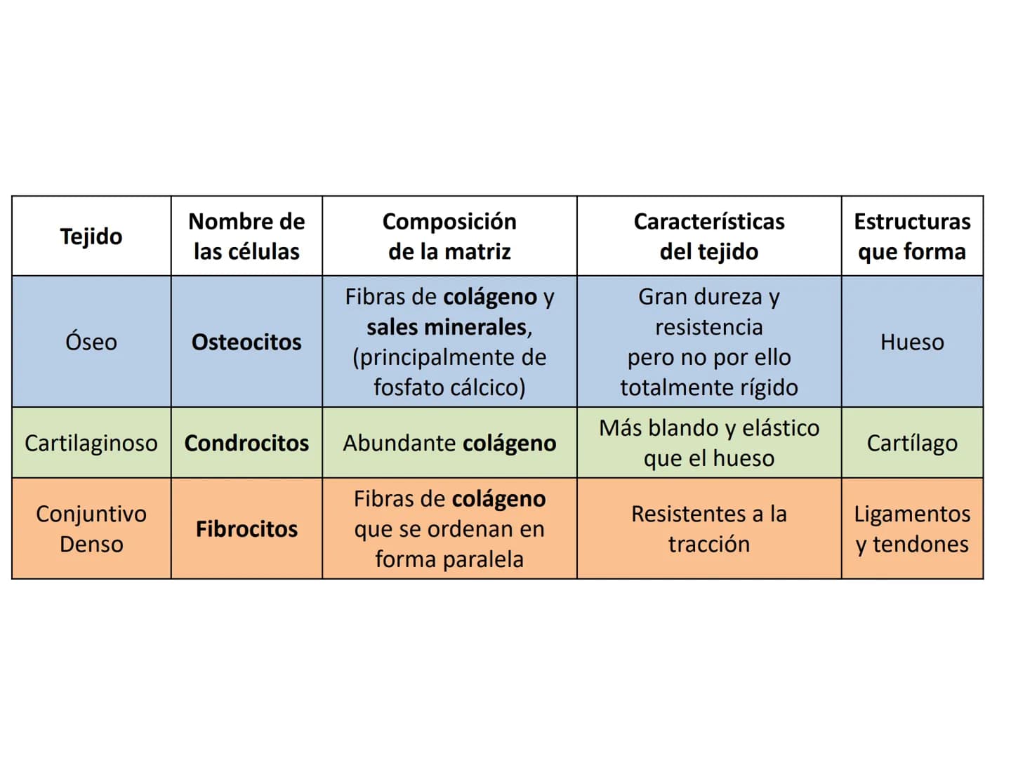 TEMA 2:
EL APARATO LOCOMOTOR EL SISTEMA ESQUELÉTICO
El esqueleto humano cuenta con 206 huesos que constituyen entre el 14 y el 18% de la
mas