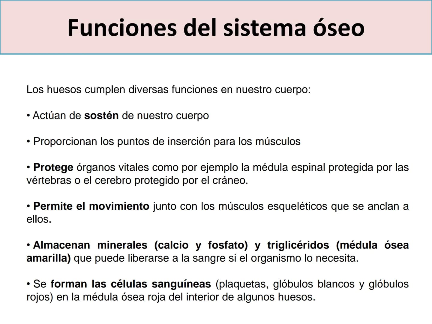 TEMA 2:
EL APARATO LOCOMOTOR EL SISTEMA ESQUELÉTICO
El esqueleto humano cuenta con 206 huesos que constituyen entre el 14 y el 18% de la
mas