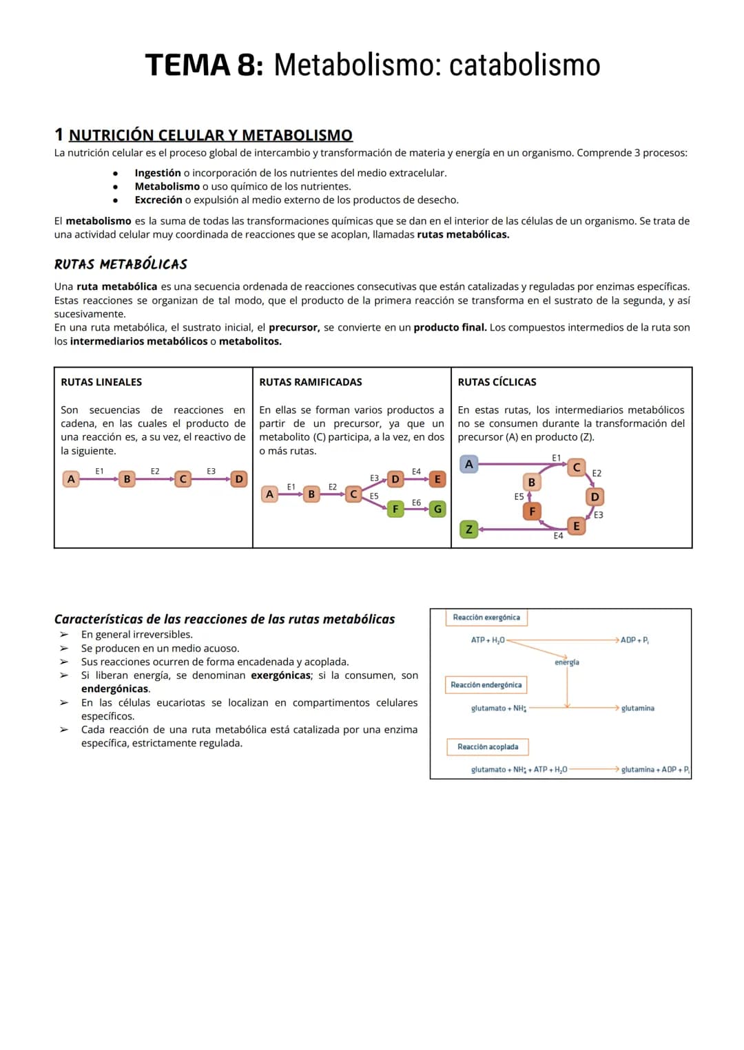 1 NUTRICIÓN CELULAR Y METABOLISMO
La nutrición celular es el proceso global de intercambio y transformación de materia y energía en un organ