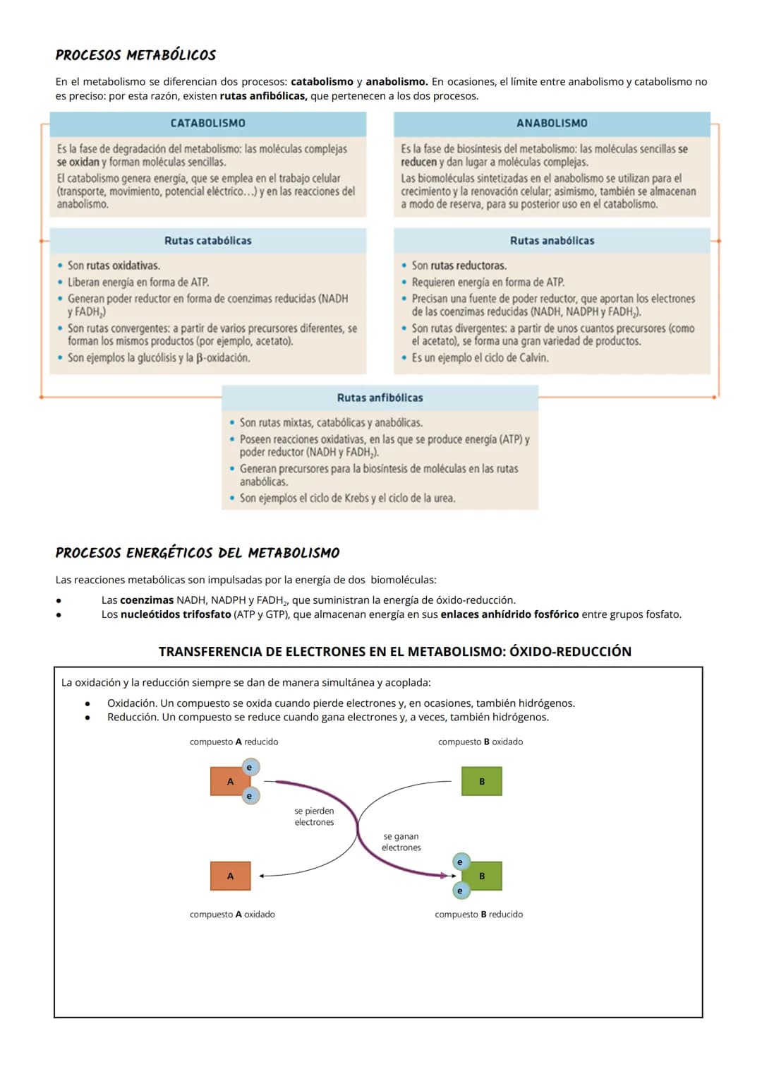 1 NUTRICIÓN CELULAR Y METABOLISMO
La nutrición celular es el proceso global de intercambio y transformación de materia y energía en un organ