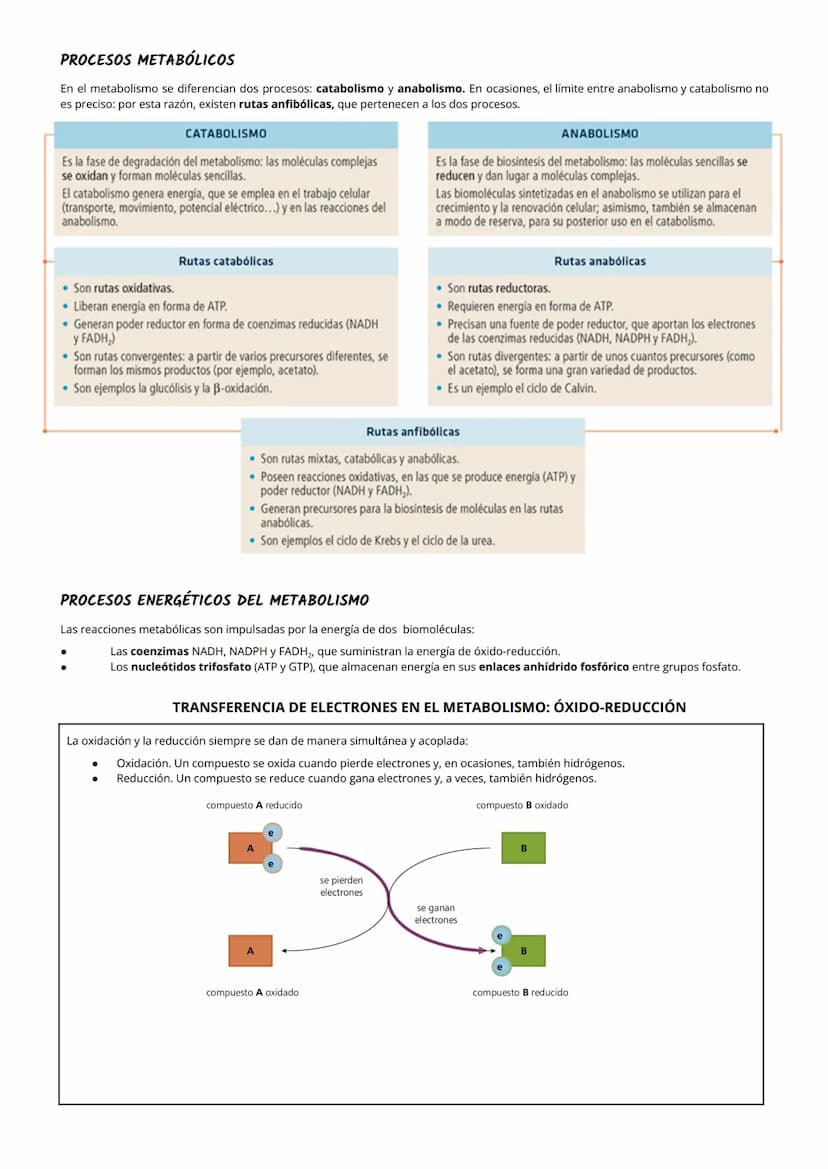 1 NUTRICIÓN CELULAR Y METABOLISMO
La nutrición celular es el proceso global de intercambio y transformación de materia y energía en un organ