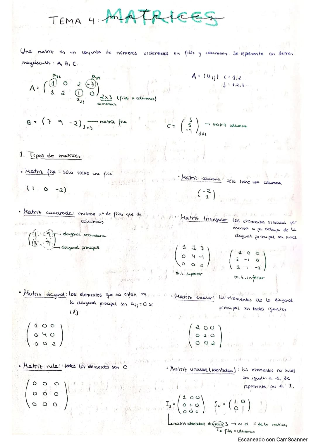 Ejercicios de Matrices 2 Bachillerato: PDFs Resueltos y Problemas Divertidos