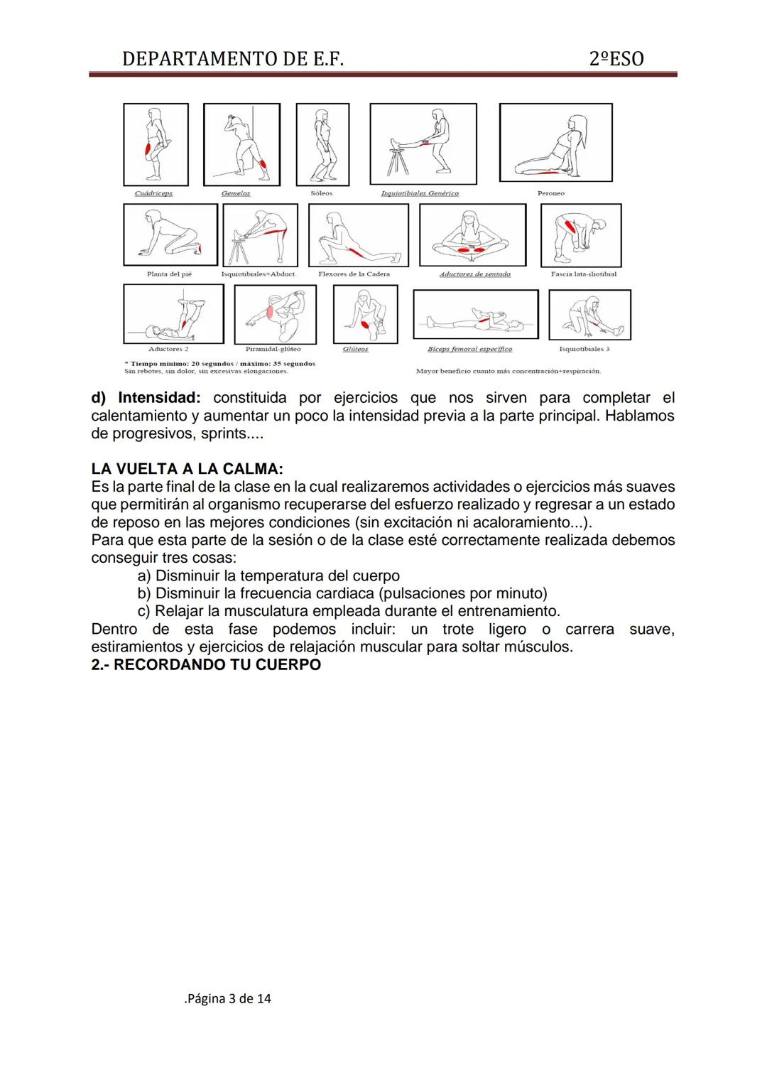 DEPARTAMENTO DE E.F.
UNIDAD DIDÁCTICA 1: EL CALENTAMIENTO
"Es un conjunto de actividades o ejercicios, primero de carácter general, después 