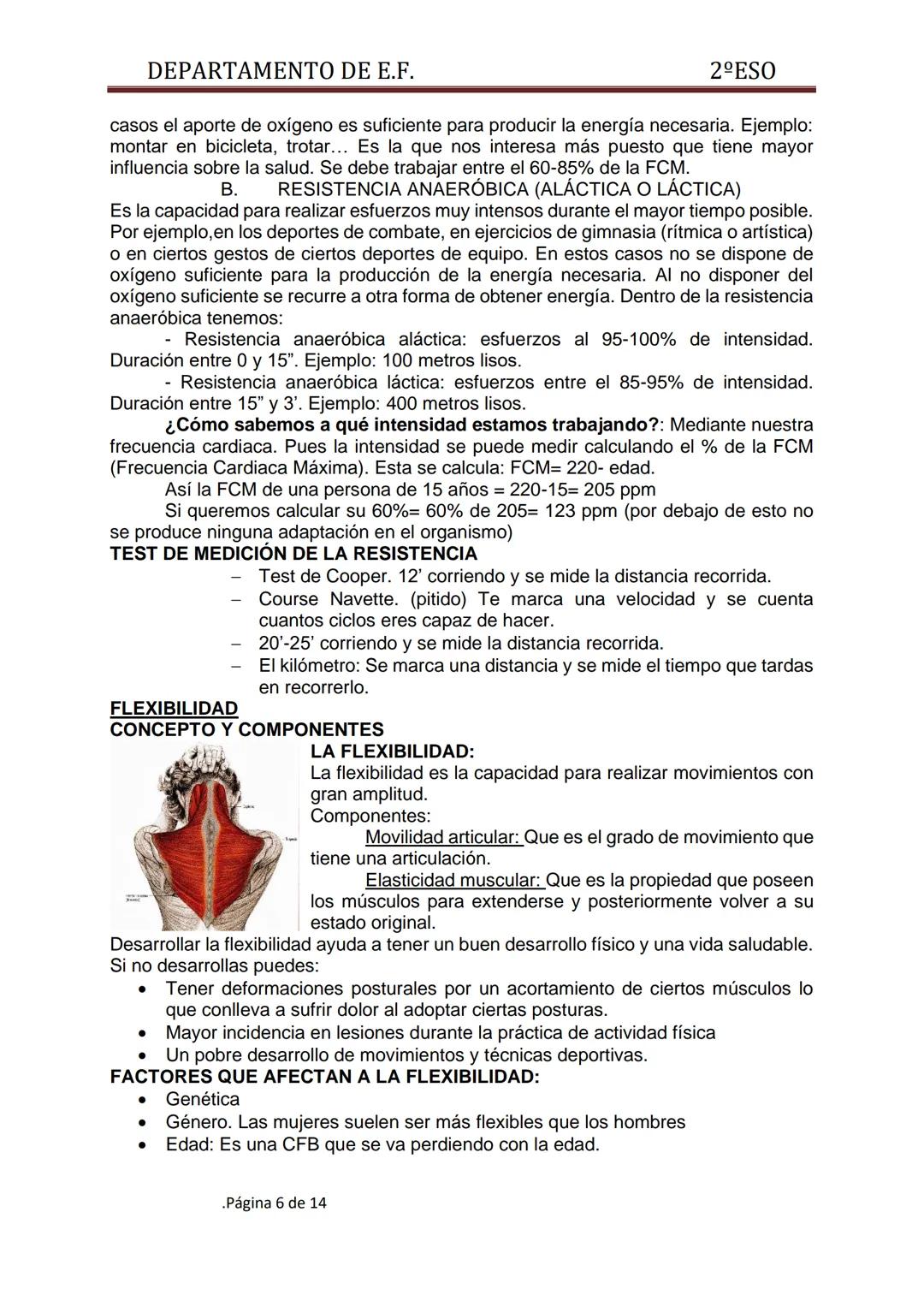 DEPARTAMENTO DE E.F.
UNIDAD DIDÁCTICA 1: EL CALENTAMIENTO
"Es un conjunto de actividades o ejercicios, primero de carácter general, después 