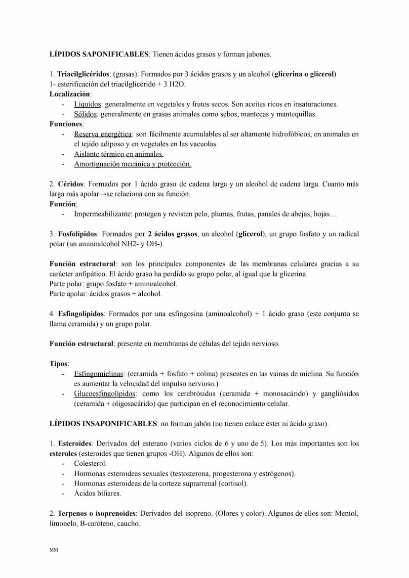 LOS LÍPIDOS
Son biomoléculas formadas por C,H,O y a veces N,P,S.
Son apolares (insolubles en agua) y tienen diversas funciones: estructural,