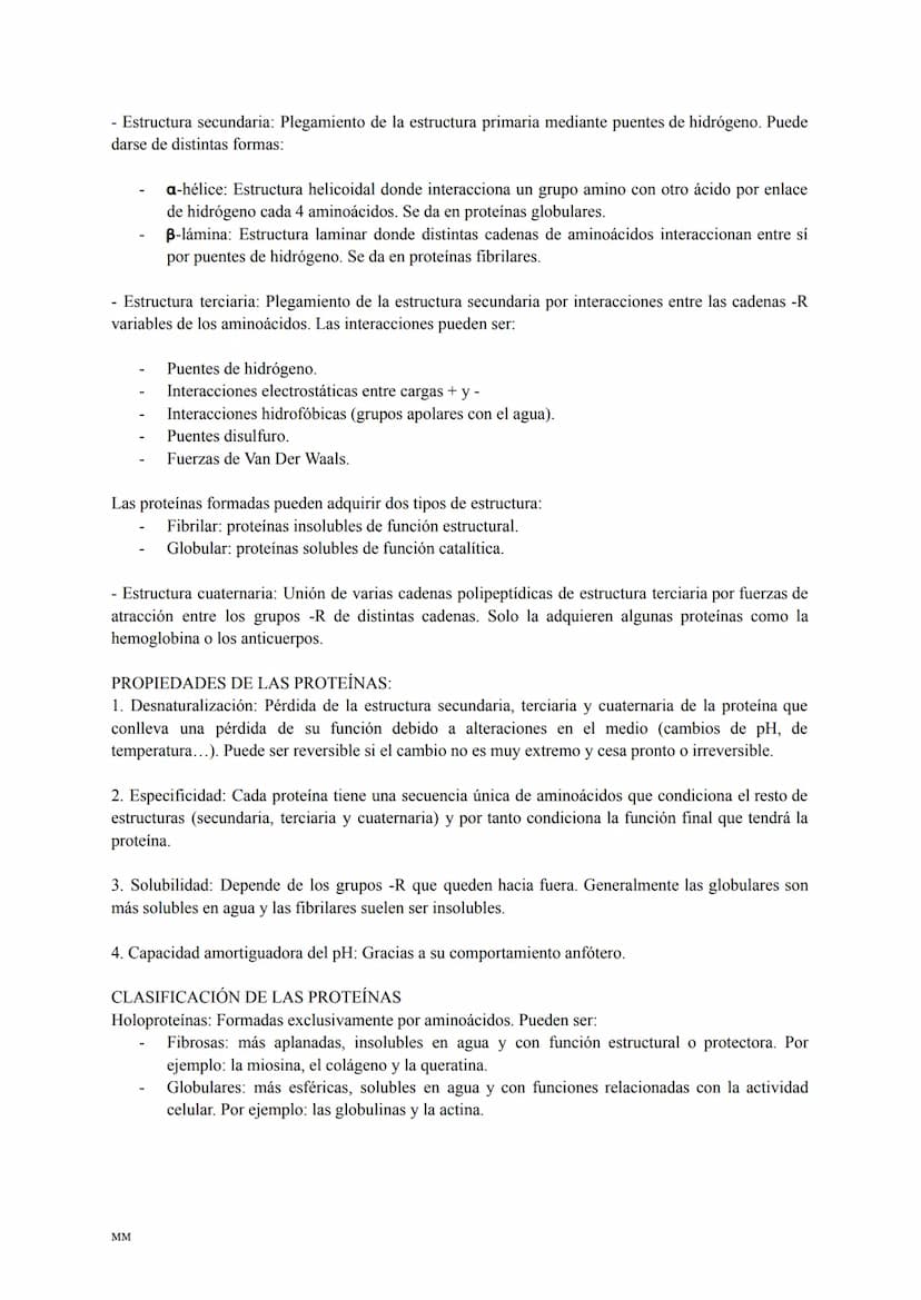 LOS LÍPIDOS
Son biomoléculas formadas por C,H,O y a veces N,P,S.
Son apolares (insolubles en agua) y tienen diversas funciones: estructural,