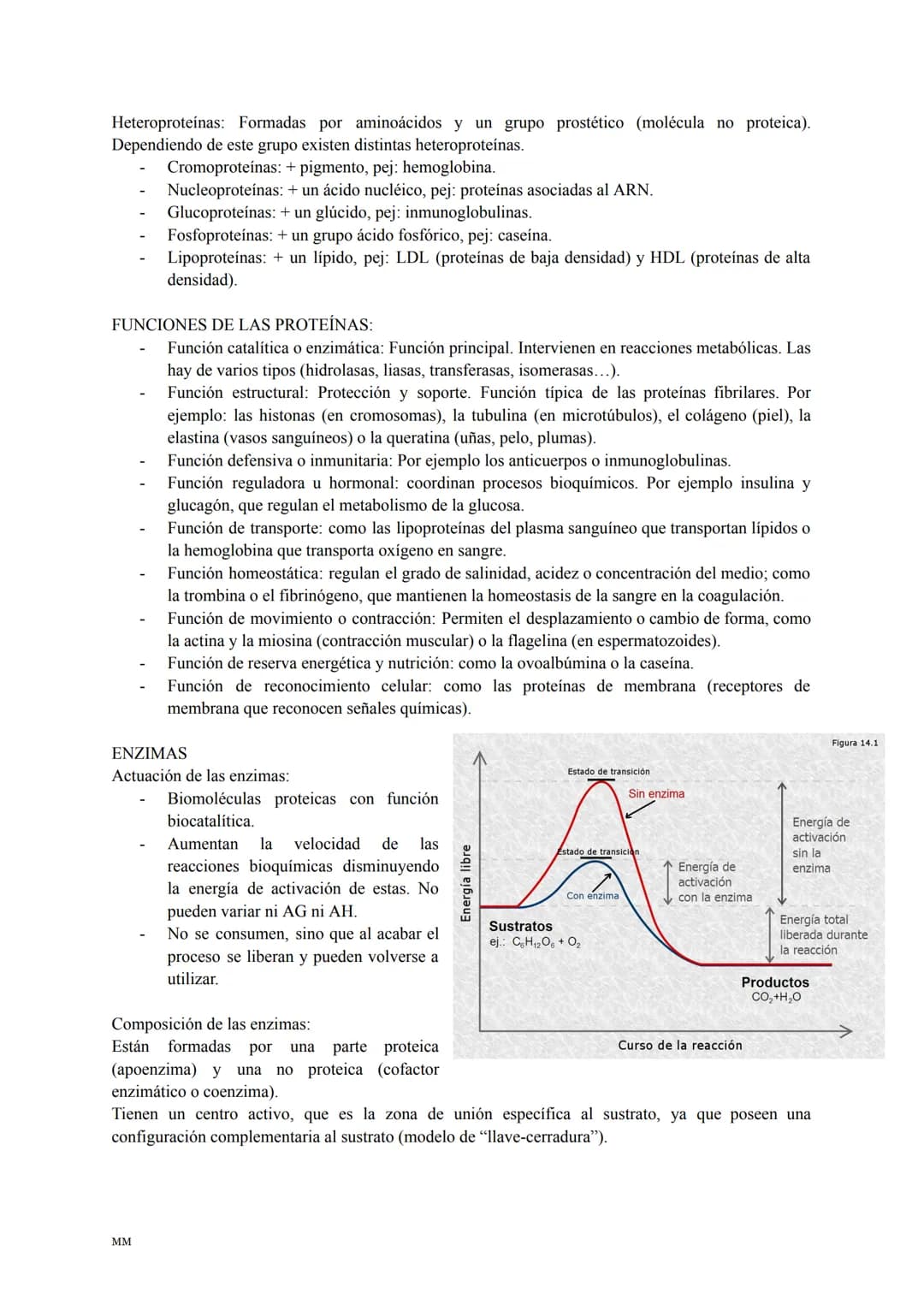 LOS LÍPIDOS
Son biomoléculas formadas por C,H,O y a veces N,P,S.
Son apolares (insolubles en agua) y tienen diversas funciones: estructural,