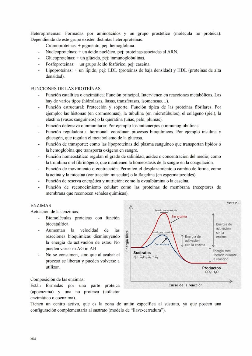 LOS LÍPIDOS
Son biomoléculas formadas por C,H,O y a veces N,P,S.
Son apolares (insolubles en agua) y tienen diversas funciones: estructural,