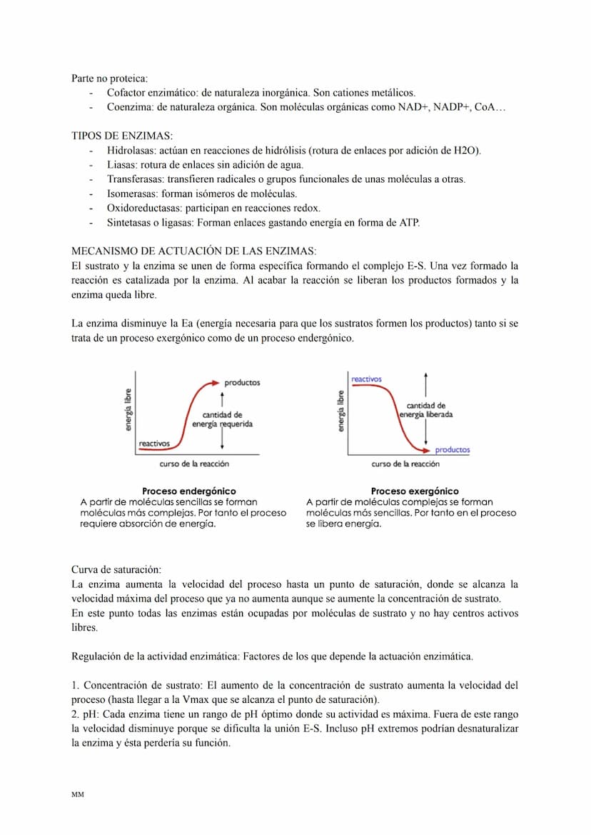 LOS LÍPIDOS
Son biomoléculas formadas por C,H,O y a veces N,P,S.
Son apolares (insolubles en agua) y tienen diversas funciones: estructural,