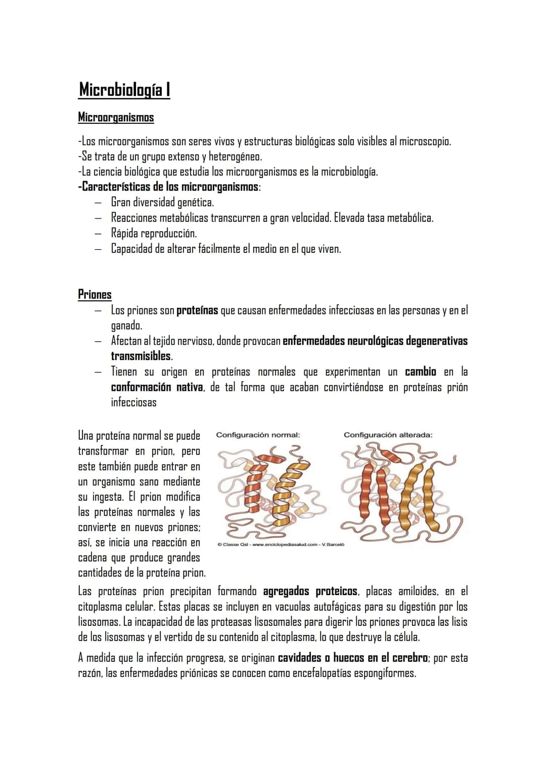 Microbiología I
Microorganismos
-Los microorganismos son seres vivos y estructuras biológicas solo visibles al microscopio.
-Se trata de un 
