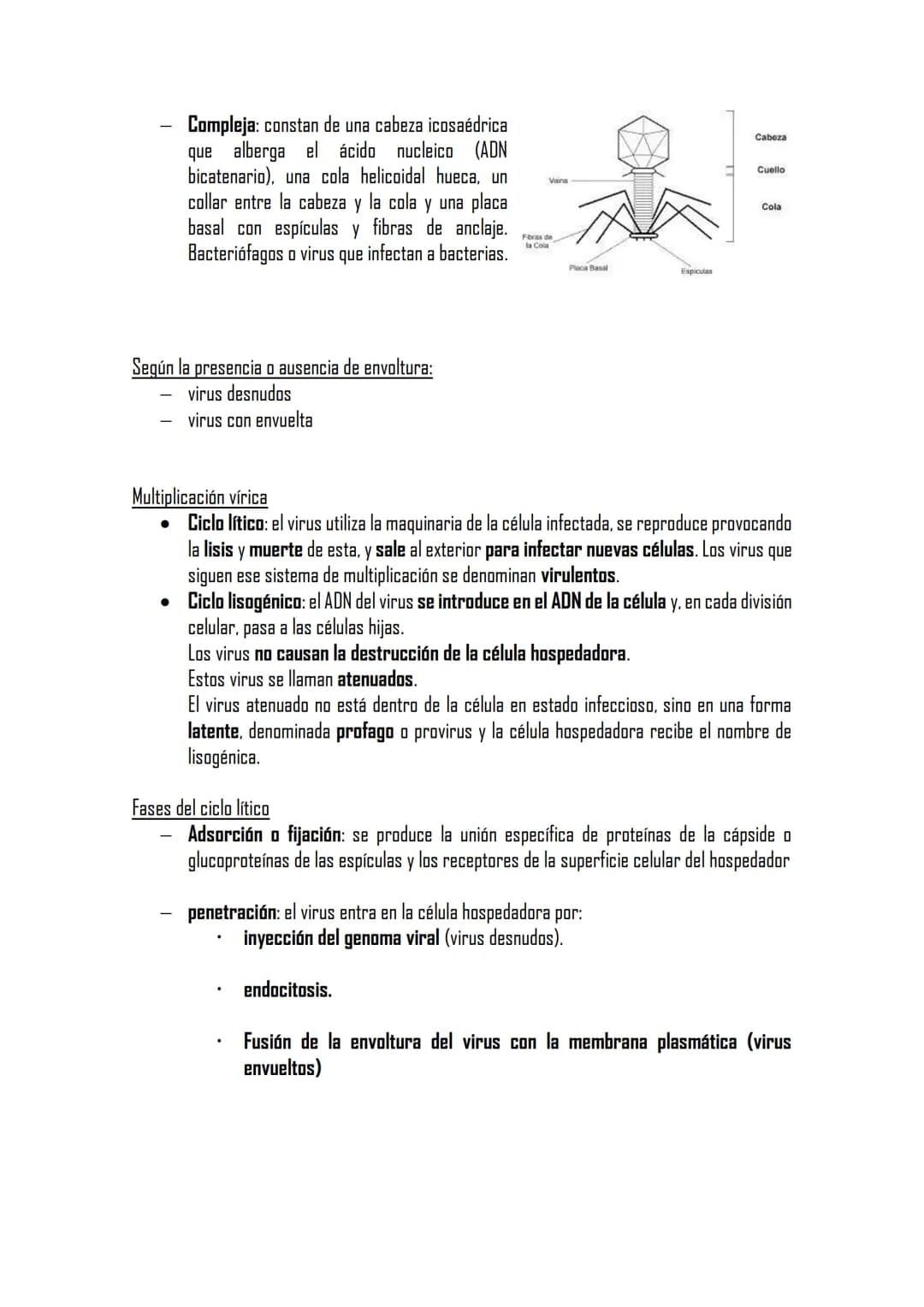 Microbiología I
Microorganismos
-Los microorganismos son seres vivos y estructuras biológicas solo visibles al microscopio.
-Se trata de un 