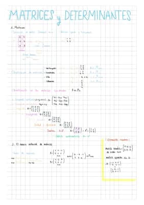 Know Matrices y Determinantes thumbnail