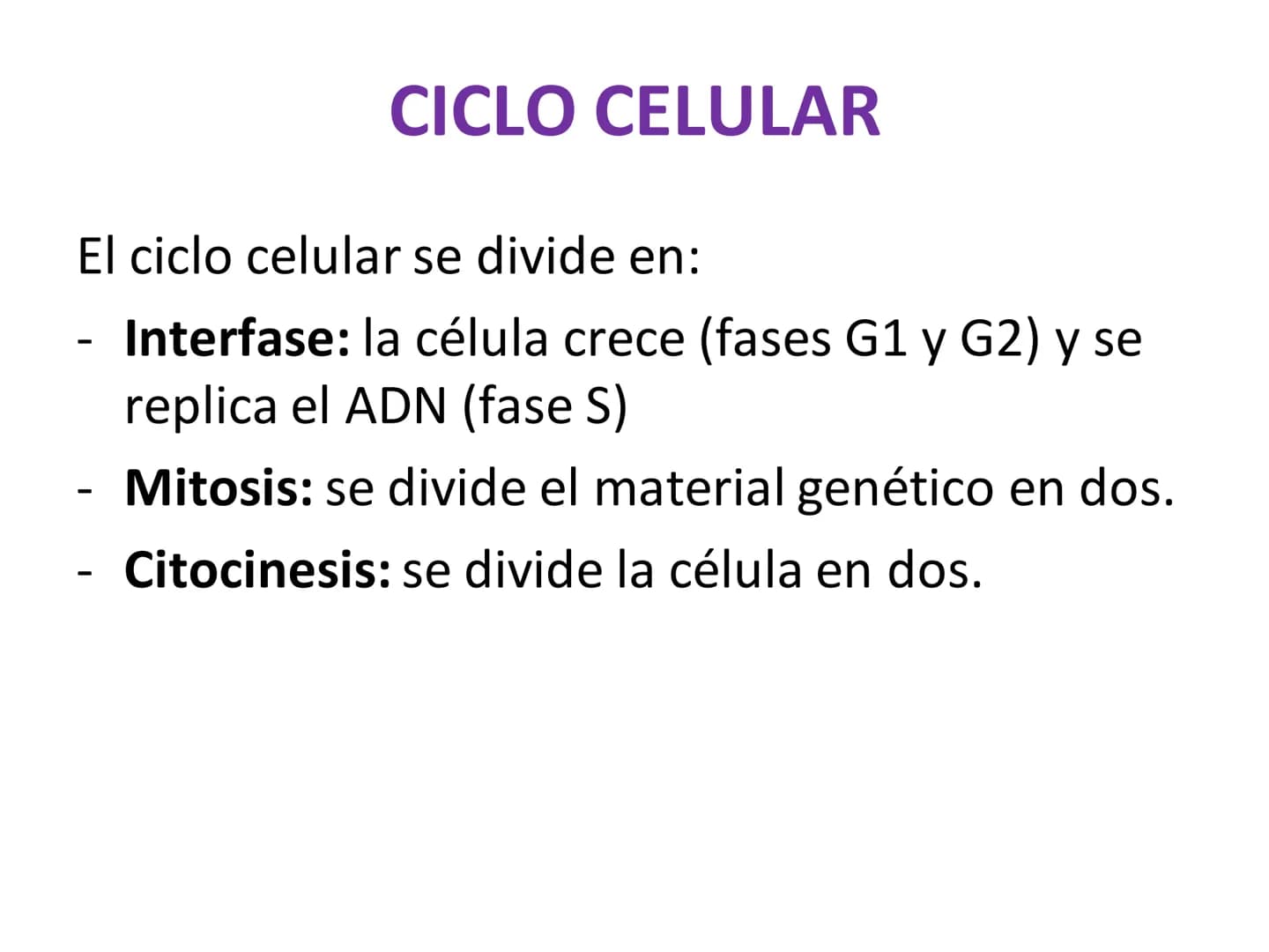 DIVISIÓN CELULAR REPRODUCCIÓN ASEXUAL
BIPARTICIÓN
La célula madre se divide en
dos células hijas idénticas.
Se da en bacterias,
amebas...
GE