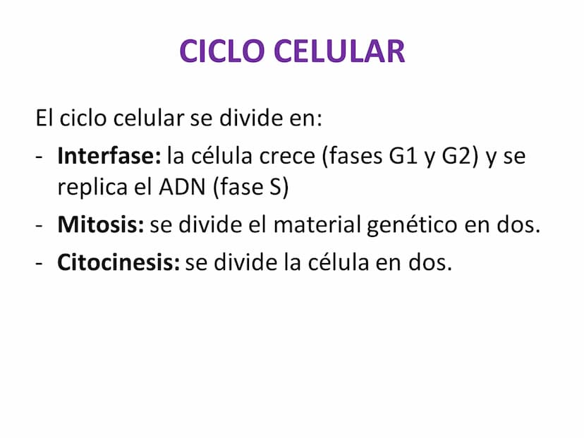 DIVISIÓN CELULAR REPRODUCCIÓN ASEXUAL
BIPARTICIÓN
La célula madre se divide en
dos células hijas idénticas.
Se da en bacterias,
amebas...
GE