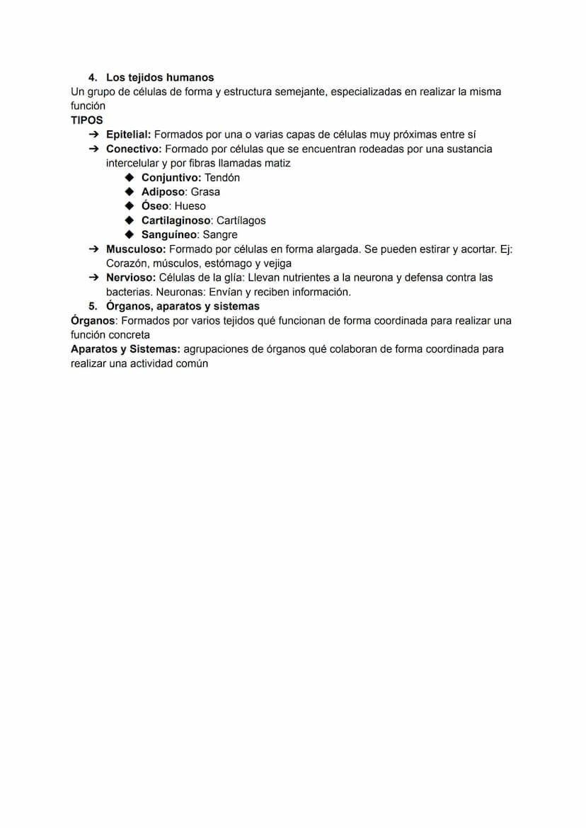 RESUMEN BIOLOGÍA TEMA 1
1. Los niveles de organización de la materia viva
Niveles de organización: cada uno de los grados de complejidad en 