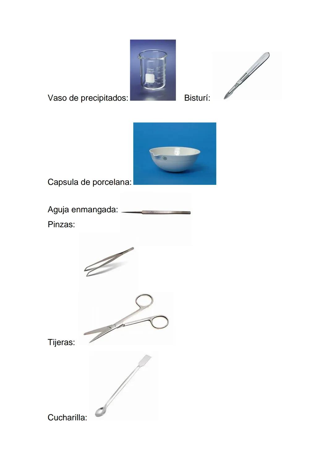 CIENCIAS 4º ESO PRÁCTICA 1:
MATERIAL DE LABORATORIO
1. Identifica el siguiente material básico de laboratorio:
Matraz:
Placa Petri:
Probeta: