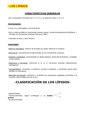 Know LOS LÍPIDOS thumbnail