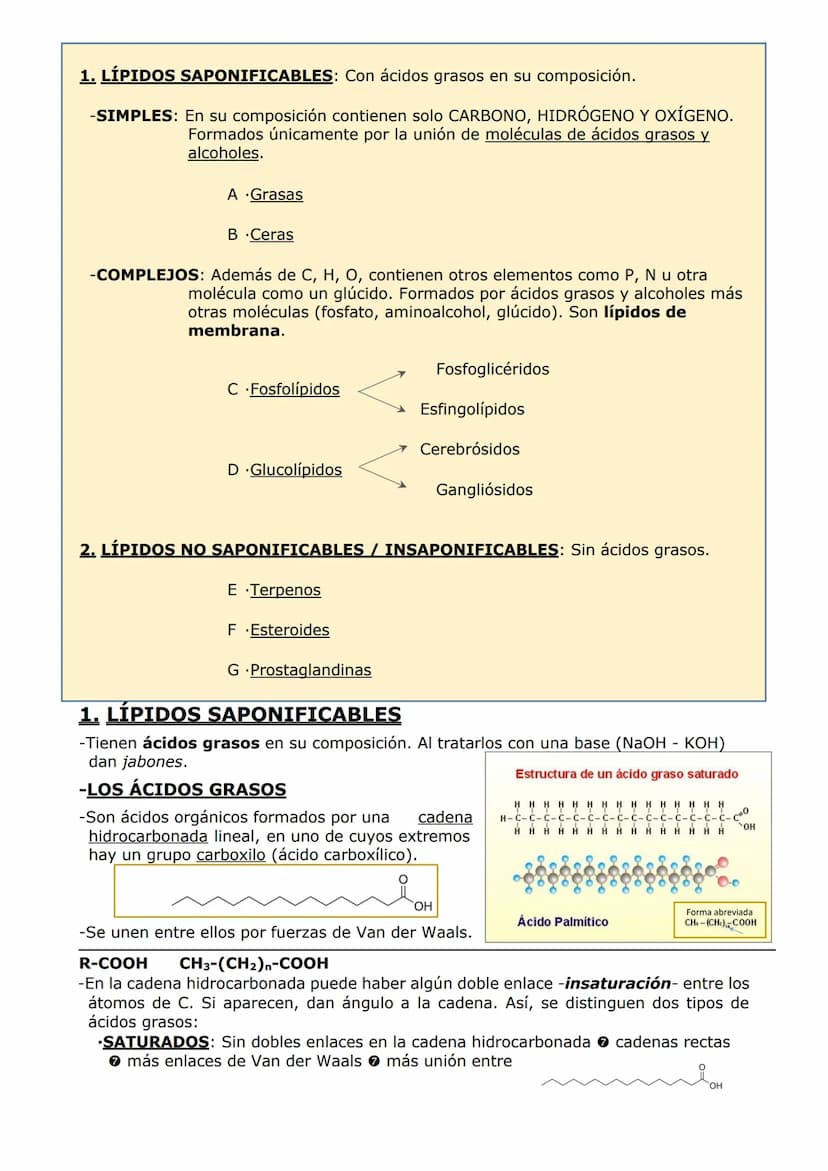 -LOS LÍPIDOS
CARACTERÍSTICAS GENERALES
-Son compuestos formados por C, H y O y, en algunos casos, P, N y S.
PROPIEDADES
-Grupo muy heterogén