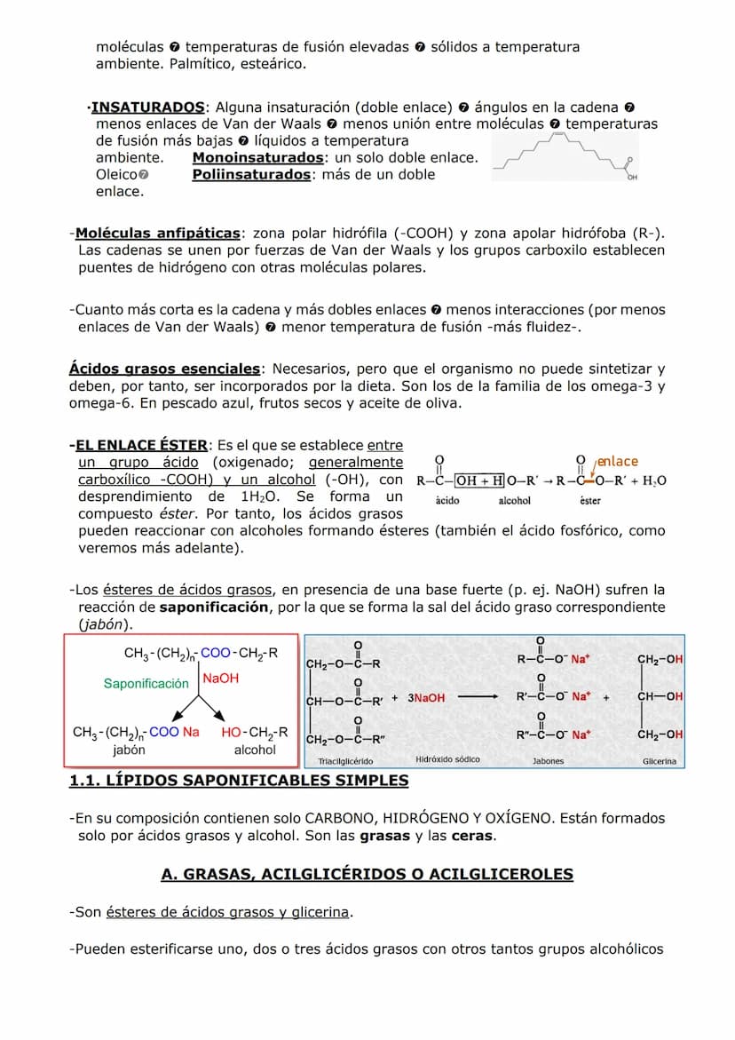 -LOS LÍPIDOS
CARACTERÍSTICAS GENERALES
-Son compuestos formados por C, H y O y, en algunos casos, P, N y S.
PROPIEDADES
-Grupo muy heterogén