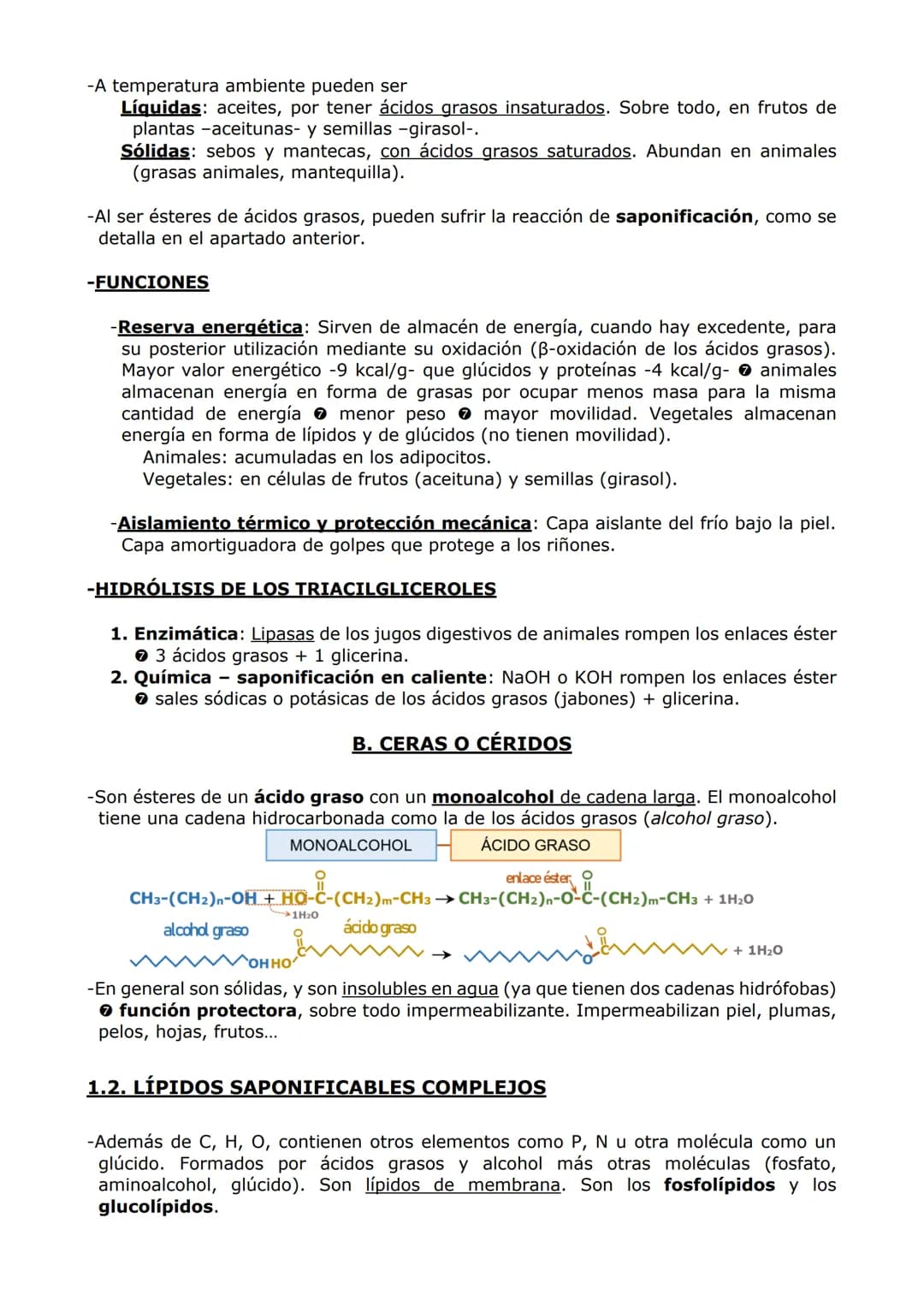 -LOS LÍPIDOS
CARACTERÍSTICAS GENERALES
-Son compuestos formados por C, H y O y, en algunos casos, P, N y S.
PROPIEDADES
-Grupo muy heterogén