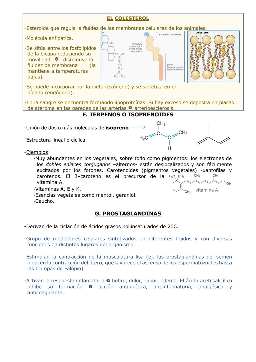 -LOS LÍPIDOS
CARACTERÍSTICAS GENERALES
-Son compuestos formados por C, H y O y, en algunos casos, P, N y S.
PROPIEDADES
-Grupo muy heterogén