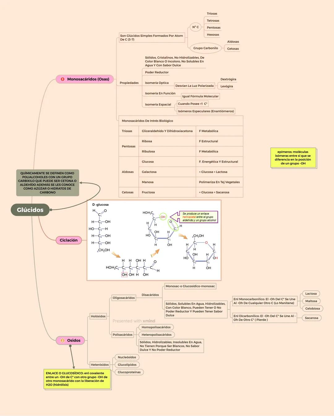 O Monosacáridos (Osas)
QUÍMICAMENTE SE DEFINEN COMO
POLIALCOHOLES CON UN GRUPO
CARBIXILO QUE PUEDE SER CETONA O
ALDEHÍDO ADEMÁS SE LES CONOC
