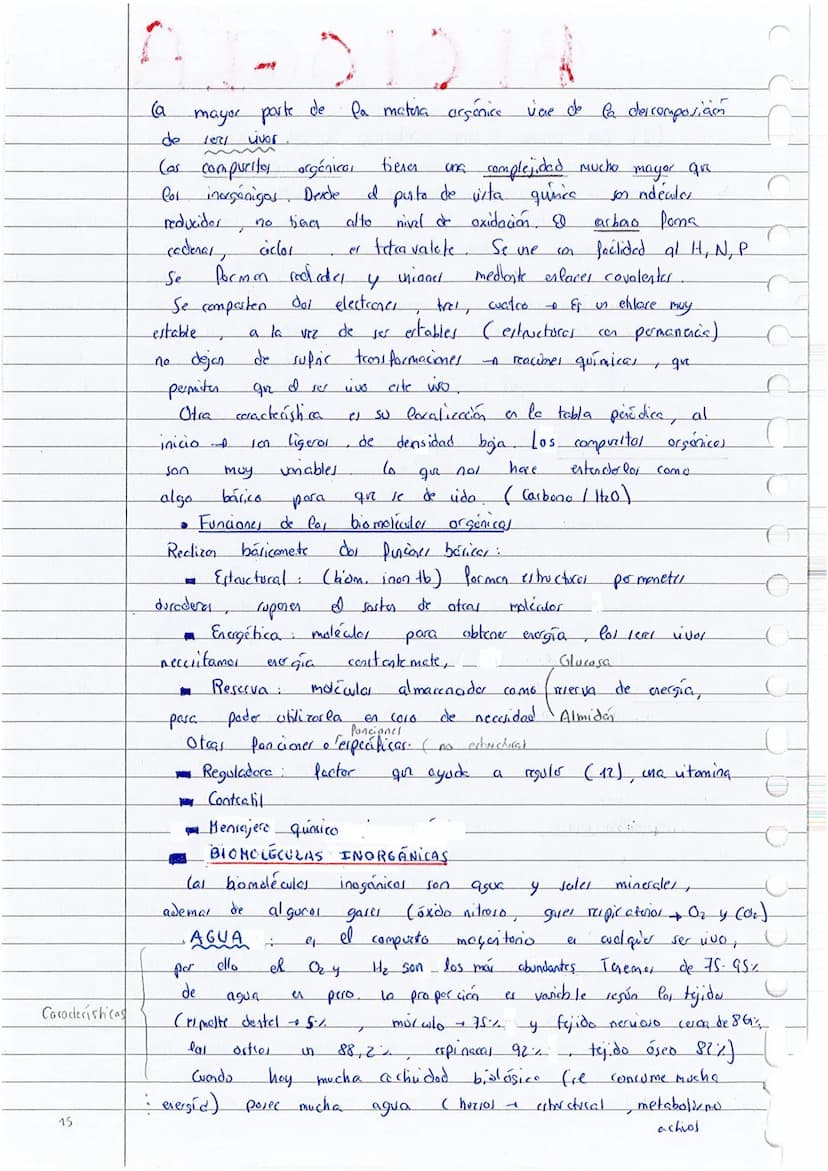 
<p>El tema 23 -- la base química de la vida, es fundamental para comprender la base molecular de la vida en 1 bachillerato y 2 bachillerato