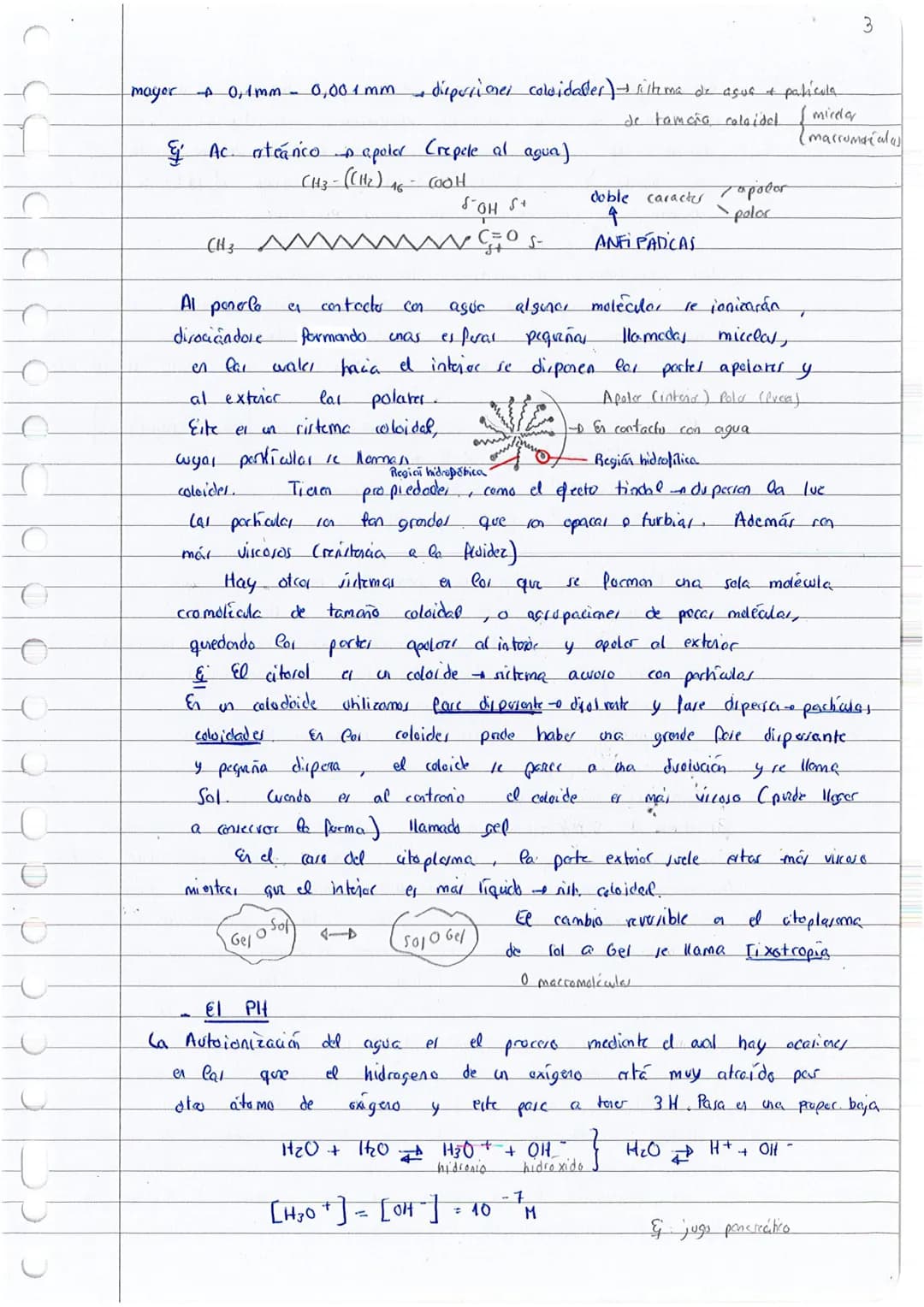 
<p>El tema 23 -- la base química de la vida, es fundamental para comprender la base molecular de la vida en 1 bachillerato y 2 bachillerato