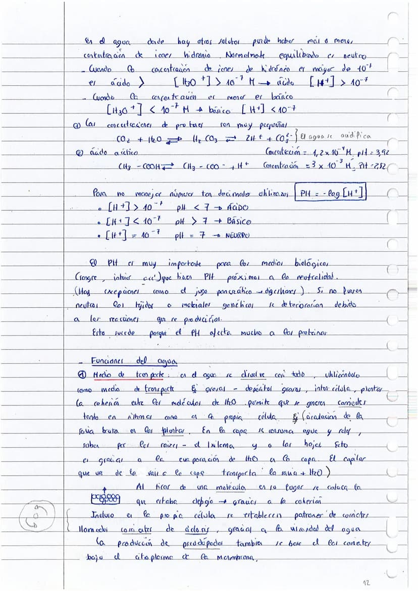 
<p>El tema 23 -- la base química de la vida, es fundamental para comprender la base molecular de la vida en 1 bachillerato y 2 bachillerato