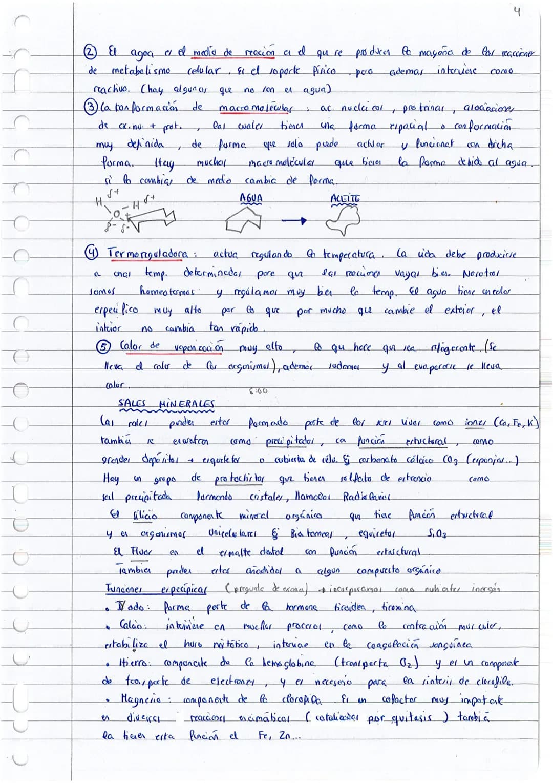 
<p>El tema 23 -- la base química de la vida, es fundamental para comprender la base molecular de la vida en 1 bachillerato y 2 bachillerato