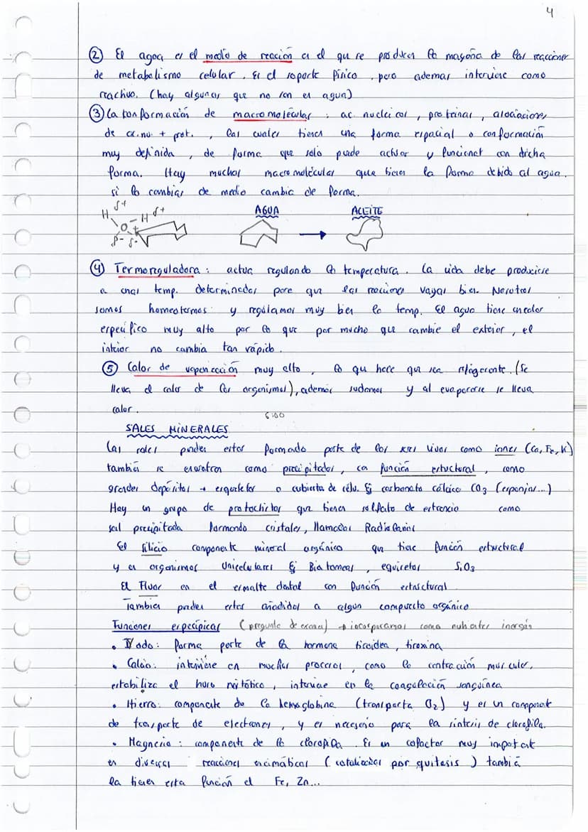 
<p>El tema 23 -- la base química de la vida, es fundamental para comprender la base molecular de la vida en 1 bachillerato y 2 bachillerato