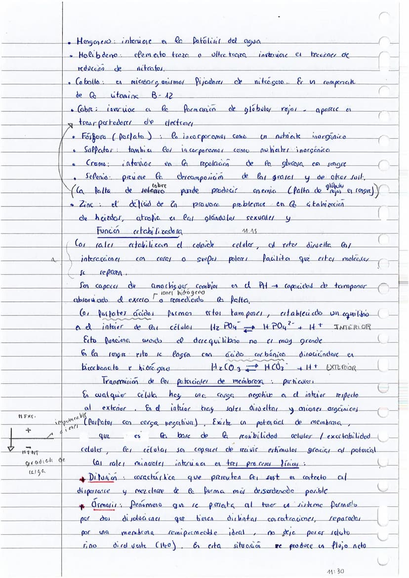 
<p>El tema 23 -- la base química de la vida, es fundamental para comprender la base molecular de la vida en 1 bachillerato y 2 bachillerato