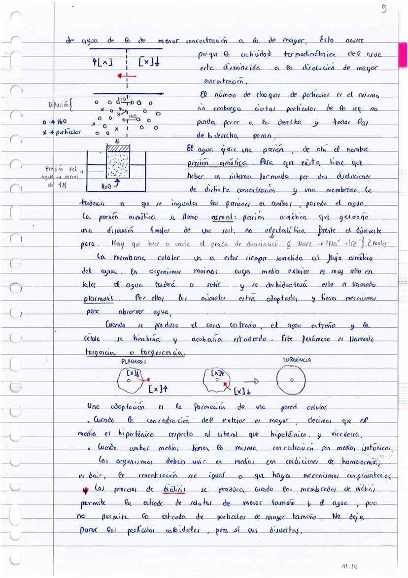 
<p>El tema 23 -- la base química de la vida, es fundamental para comprender la base molecular de la vida en 1 bachillerato y 2 bachillerato