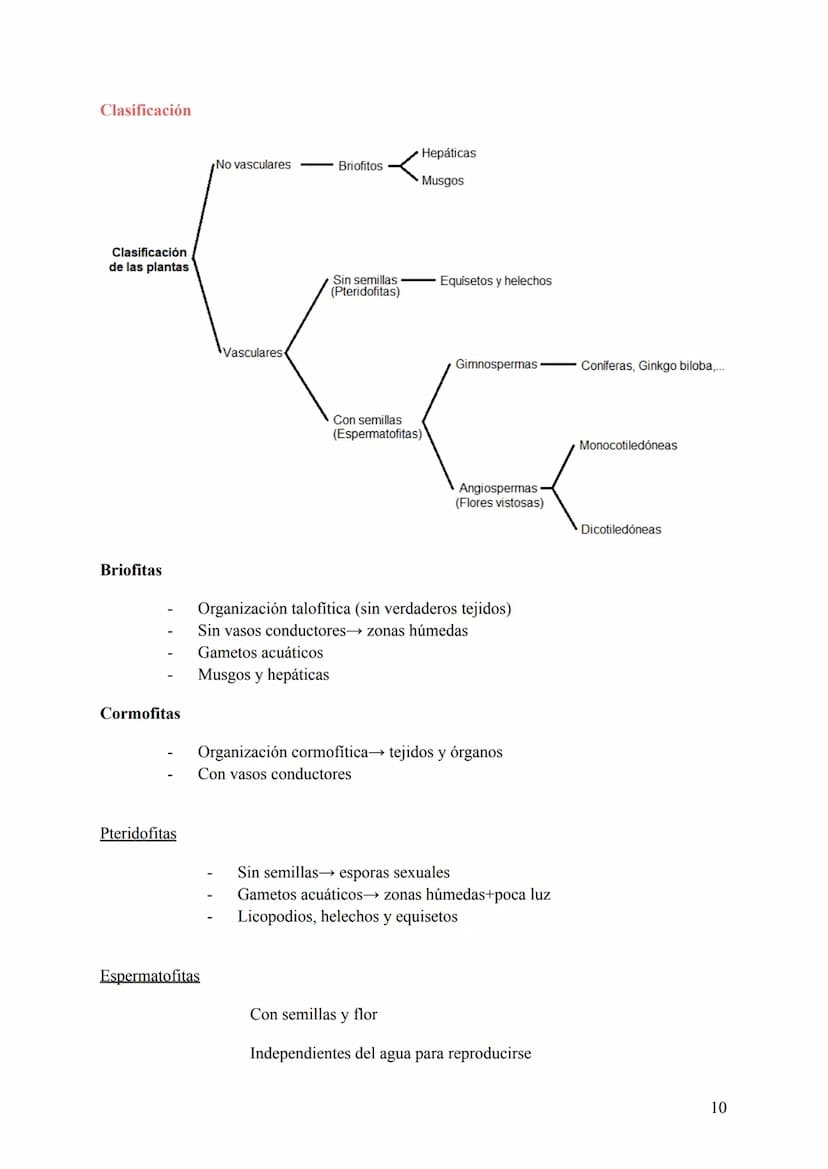 T-6: La Clasificación de la Vida
1. Cómo se clasifican los seres vivos
Para estudiar todas las especies conviene clasificarlas de una manera