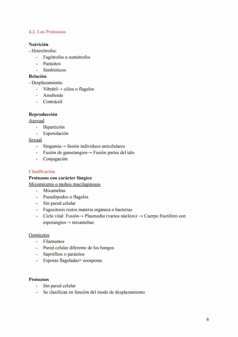 T-6: La Clasificación de la Vida
1. Cómo se clasifican los seres vivos
Para estudiar todas las especies conviene clasificarlas de una manera