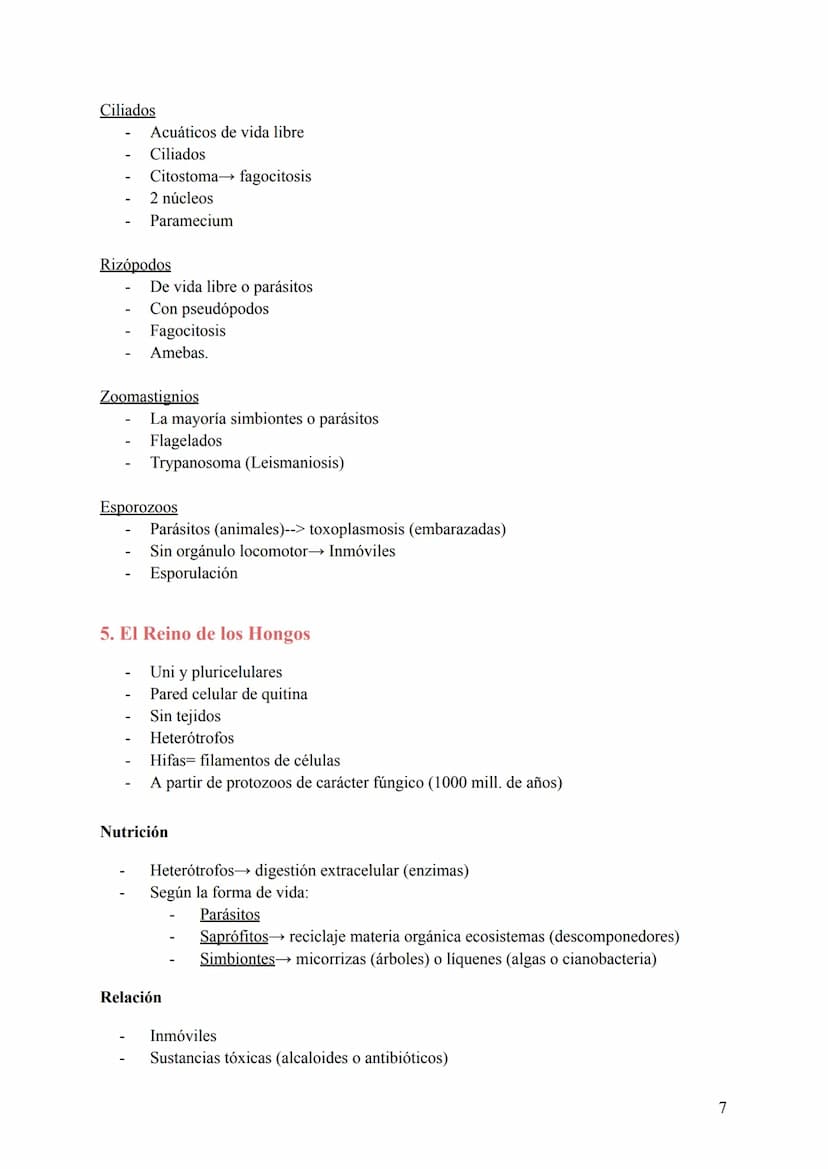 T-6: La Clasificación de la Vida
1. Cómo se clasifican los seres vivos
Para estudiar todas las especies conviene clasificarlas de una manera