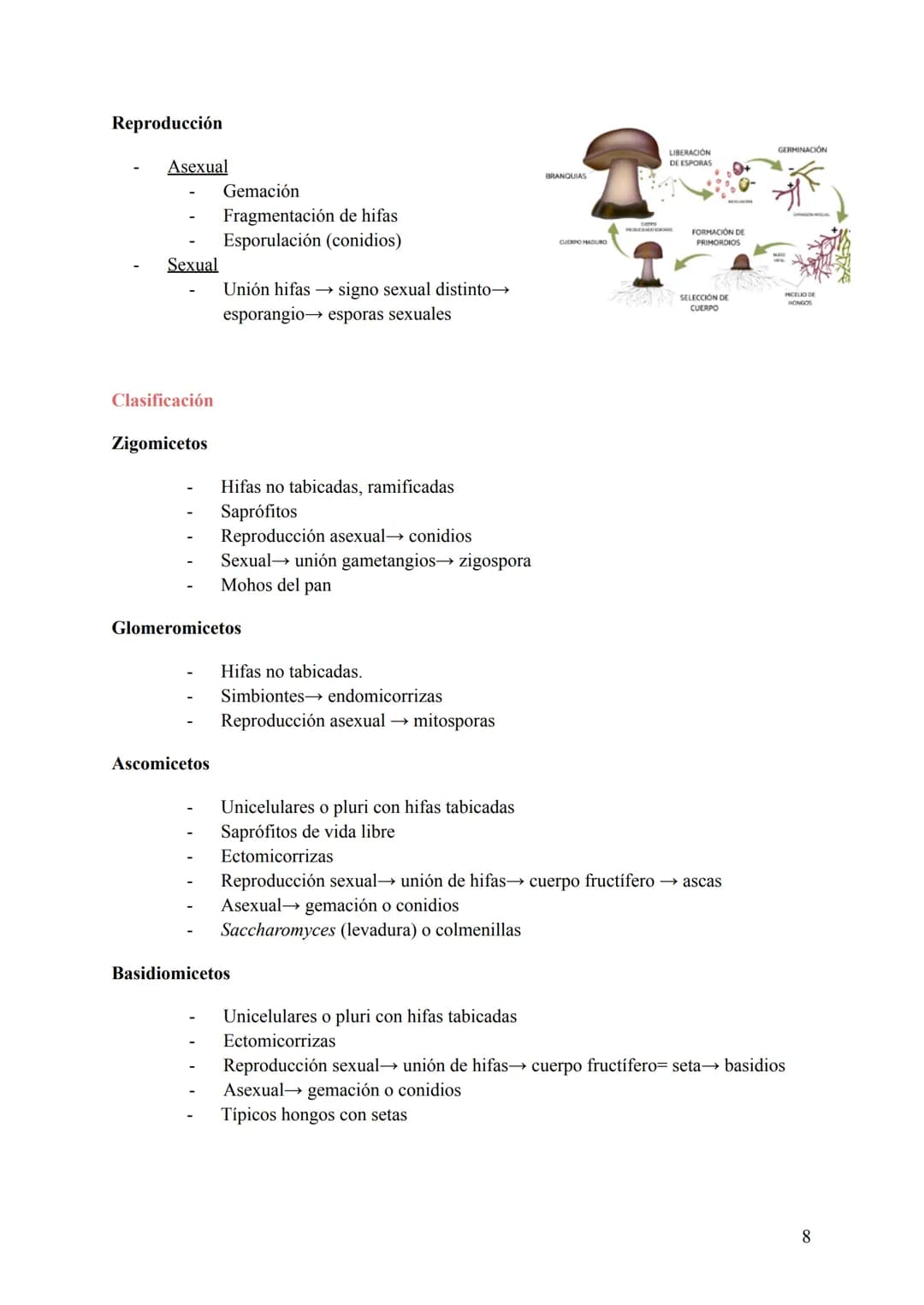 T-6: La Clasificación de la Vida
1. Cómo se clasifican los seres vivos
Para estudiar todas las especies conviene clasificarlas de una manera