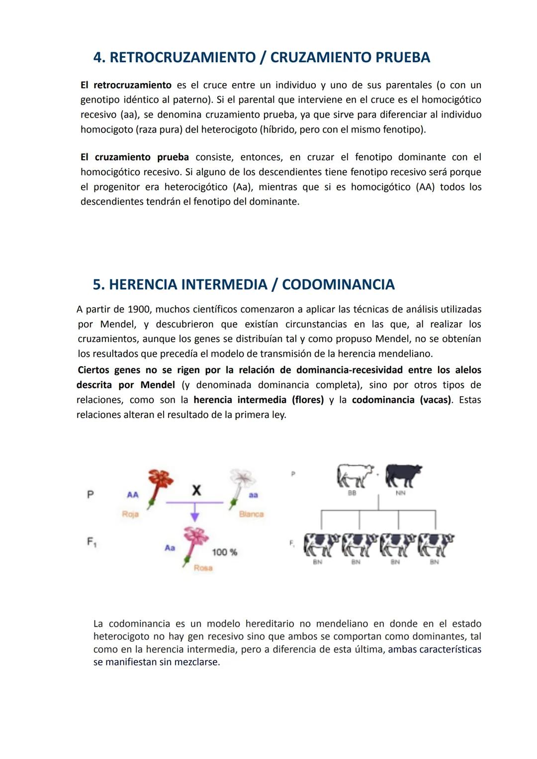 Modelo
Educativo
Zola

Colegios Zola
Las Rozas

UD 3. LA GENÉTICA Y SU HERENCIA

KY

OBJETIVOS

1. Reconocer el avance de la genética como b