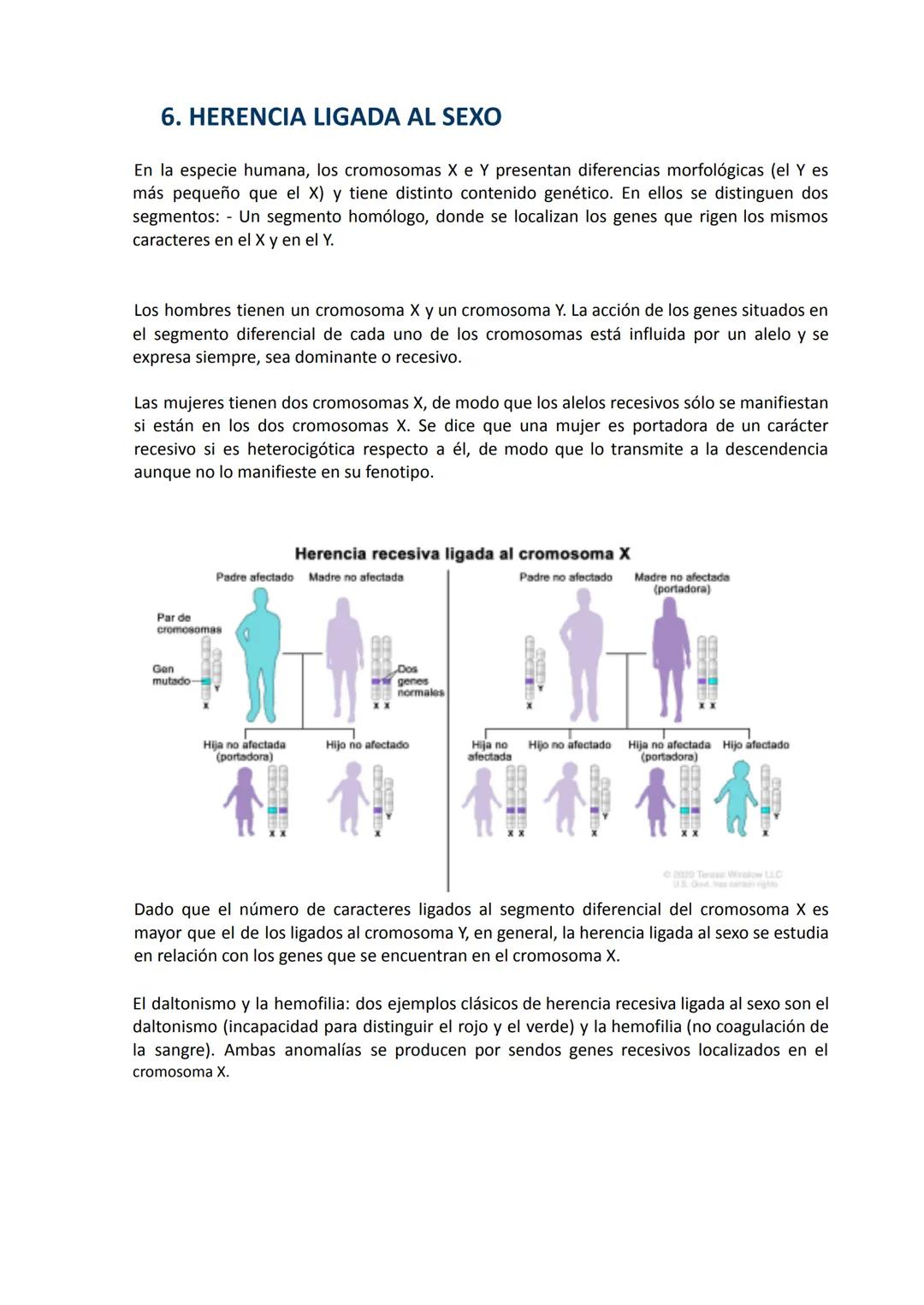Modelo
Educativo
Zola

Colegios Zola
Las Rozas

UD 3. LA GENÉTICA Y SU HERENCIA

KY

OBJETIVOS

1. Reconocer el avance de la genética como b