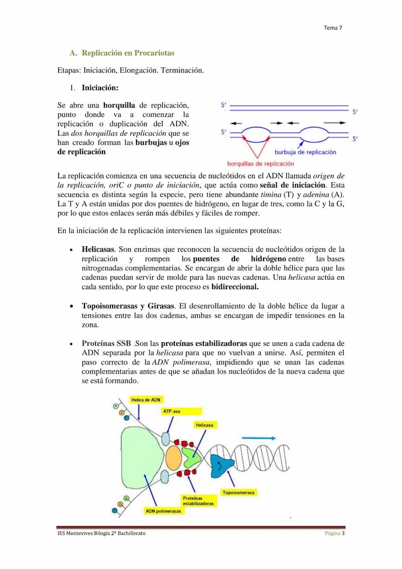 Tema 7 Reproducción Celular
I.
Ciclo Celular
El ciclo celular es un conjunto ordenado de sucesos que conducen al crecimiento de
la célula y 