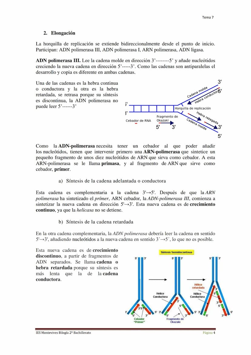 Tema 7 Reproducción Celular
I.
Ciclo Celular
El ciclo celular es un conjunto ordenado de sucesos que conducen al crecimiento de
la célula y 