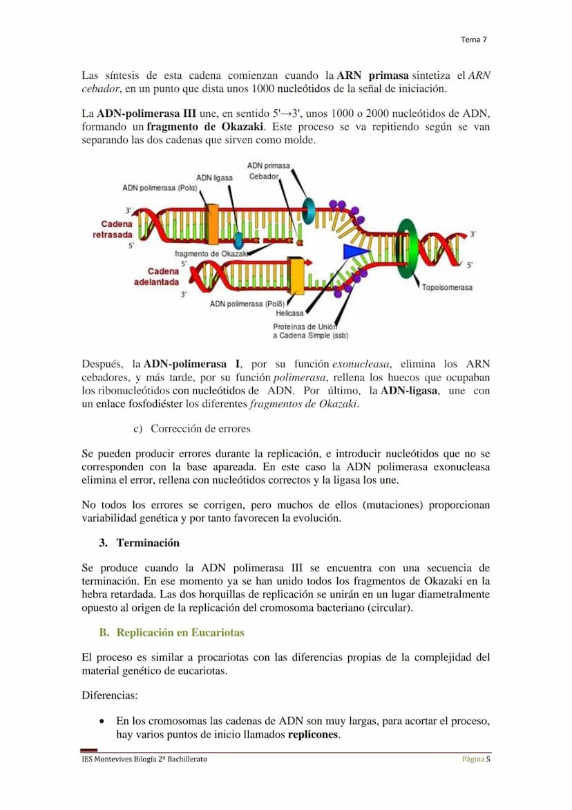Tema 7 Reproducción Celular
I.
Ciclo Celular
El ciclo celular es un conjunto ordenado de sucesos que conducen al crecimiento de
la célula y 
